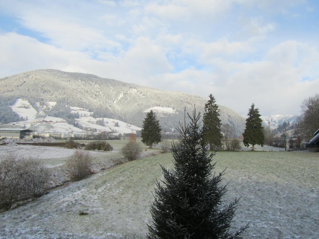 Ferienwohnung Familie Wieser Altenmarkt im Pongau Extérieur photo